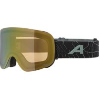 Alpina Penken Q-Lite Skibrille (871 willow/green matt, Scheibe: Q-Lite, mirror gold (S2))