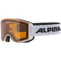 Alpina Narkoja DH Skibrille (111 white, Scheibe: DOUBLEFLEX (S2))