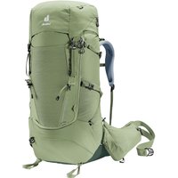 Deuter Aircontact Core 55+10 SL Trekkingrucksack W (1214 grove/ivy)