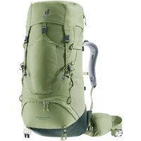 Deuter Aircontact Lite 35+10 SL Trekkingrucksack W (1214 grove/ivy)