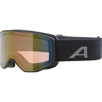 Alpina Venet Quattroflex Skibrille (831 black matt, Scheibe: red (S2))
