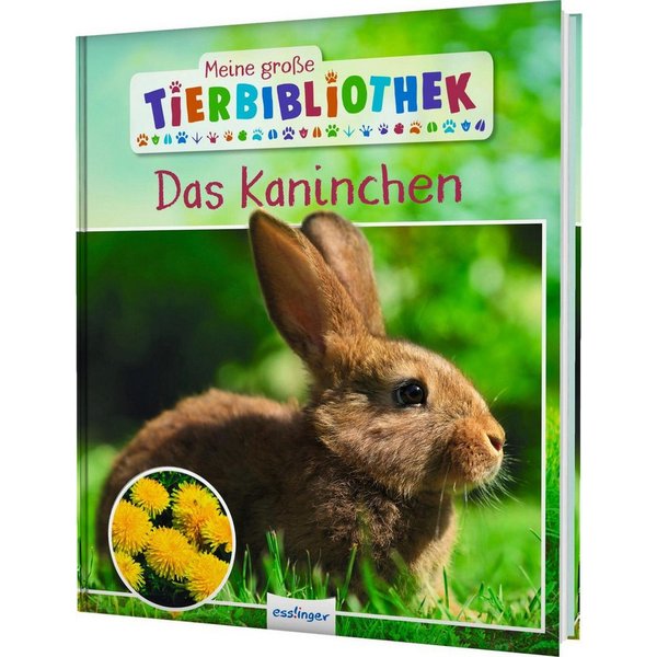 Meine große Tierbibliothek: Das Kaninchen / Axel Gutjahr