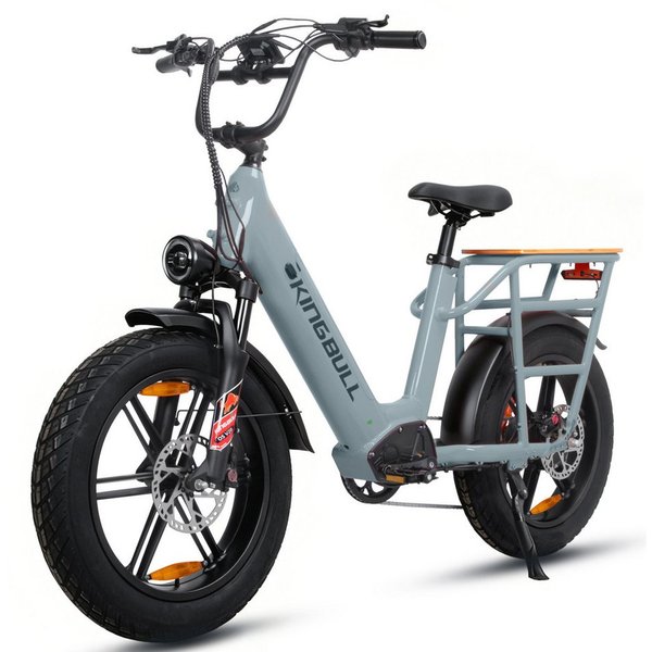Vankel E-Bike Cityrad Cargo Damen u. Herren 20"x4" 720Wh 48V, max.100km Hydraulikbremsen, Kettenschaltung, Heckmotor, 720 Wh, (Beleuchtungsset mit Batterieladeg