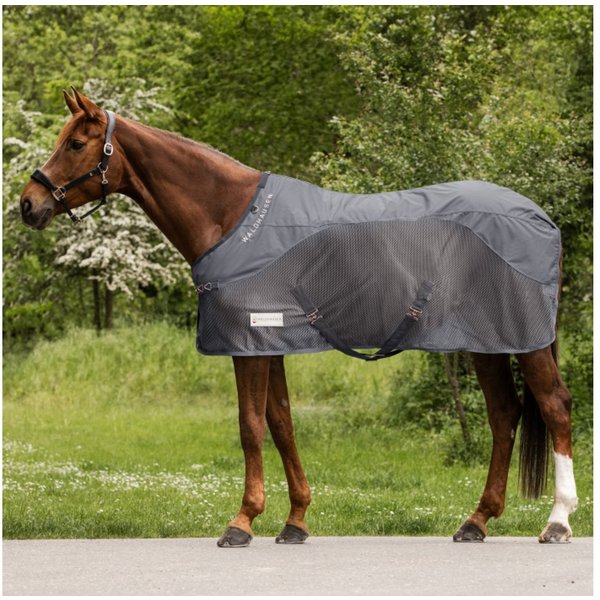 Waldhausen Pferde-Regendecke Waldhausen Comfort Regen-Fliegendecke - grau