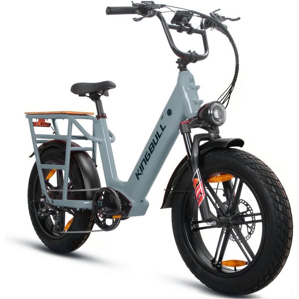 Vankel E-Bike Cityrad Cargo Damen u. Herren 20"x4" 720Wh 48V, max.100km Hydraulikbremsen, Kettenschaltung, Heckmotor, 720 Wh, (Beleuchtungsset mit Batterieladeg