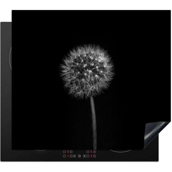 MuchoWow Herd-Abdeckplatte Löwenzahn - Schwarz - Floral - Botanisch, Vinyl, (1 tlg), Cerankochfeld Abdeckung, Herd Abdeckplatten Vinyl, 58.3x51.3 cm