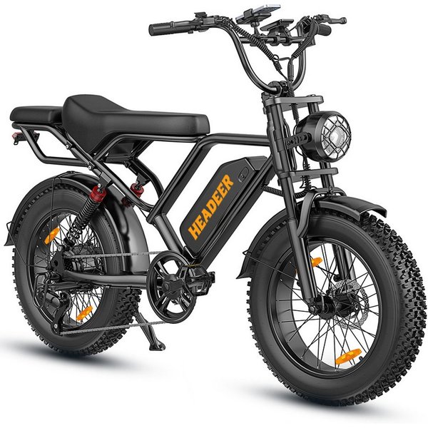 WHEELYOU E-Bike Mountainbike Herren u. Damen E-Fatbike 20 Zoll 250W 960Wh 80km Scheibenbremse, Kettenschaltung, Heckmotor, 960 Wh, (Beleuchtungsset mit Batterie