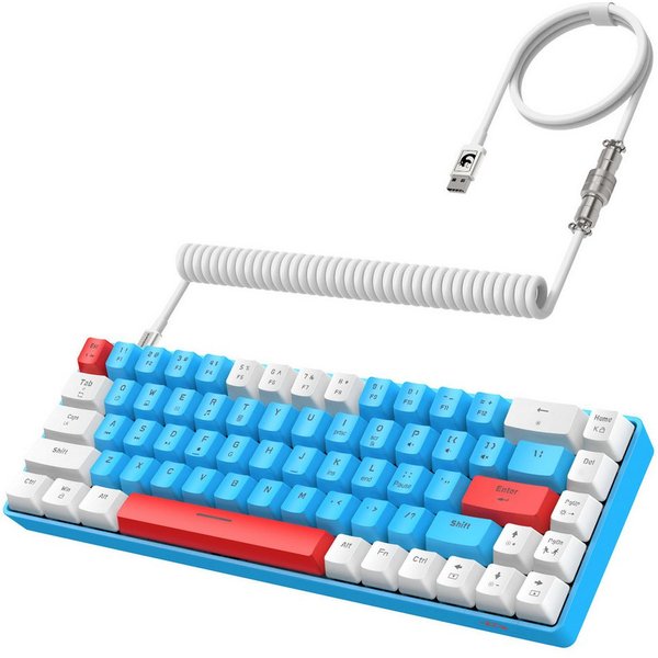 ZIYOU LANG T8 60% Mechanische Gaming-Tastatur,68 Tasten TKL mit Kompaktem Layout, Gaming-Tastatur (Kompaktem Layout,18 RGB,Anti-Ghosting,USB-C Spiralkabel,für P