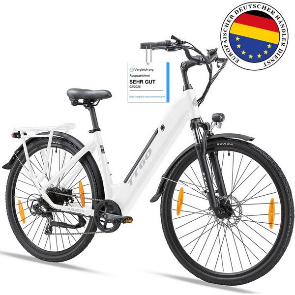 TTGO E-Bike Cityrad HZ-28TS 28 Zoll mit Aluminium-Tiefenrahmen und Gepäckträger, Kettenschaltung, Heckmotor, 720 Wh, Elektrofahrrad E-bikes Schaltwerk, Citybike