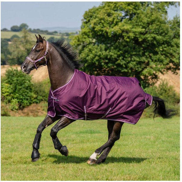 Bucas Pferde-Regendecke Bucas Freedom Turnout Light 0g