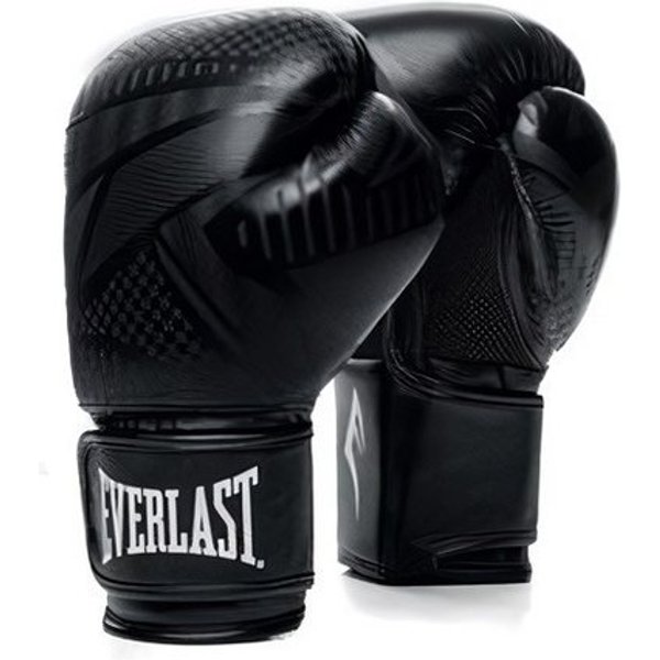Everlast Boxhandschuhe