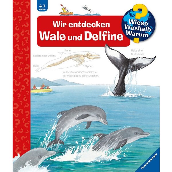 Wieso? Weshalb? Warum? Band 41 - Wir entdecken Wale und Delfine / Doris Rübel