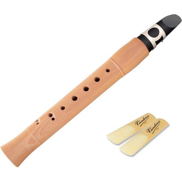 Classic Cantabile Saxophon X-20 Taschensaxophon SET inkl. 2 x Vandoren Blätter C Deutsch
