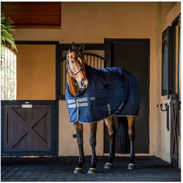 Horseware Pferde-Stalldecke Horseware Rhino Stable 100g