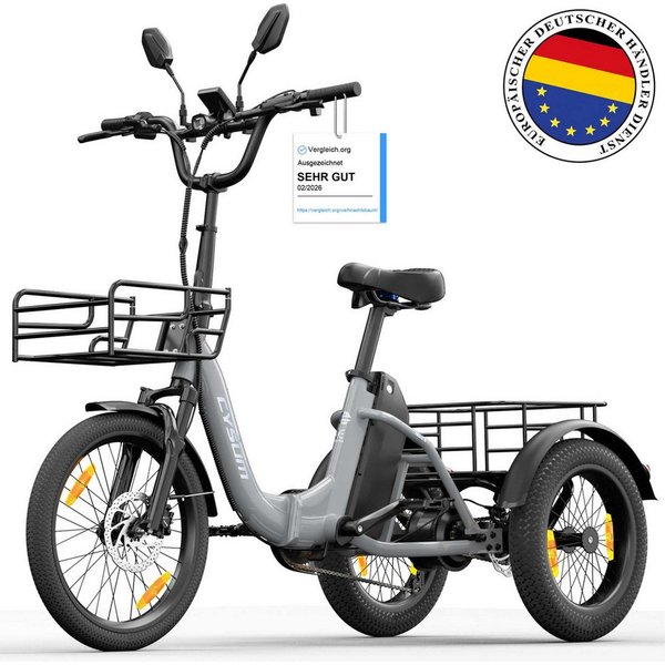 Vankel E-Bike AG1 3 rad Faltbares Damen u. Herren E-Fahrrad 960WH Pedelec, 120 km, Kettenschaltung, Heckmotor, 960 Wh, Faltbares 3-Rad-E-Bikes 250W, 48V 20AH Ak