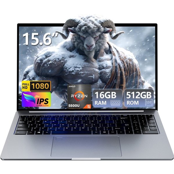 Ninkear Laptop AMD Ryzen 5 5500U(bis zu 4,0 GHz),16GB RAM + 512GB SSD Business-Notebook (39,62 cm/15.6 Zoll, AMD AMD Ryzen 5 5500U, AMD Radeon Graphics 1800 MHz