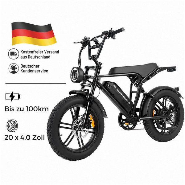 PixelPilot E-Bike Cityrad E6 3.0 Elektrofahrrad 48V 15Ah 7-Gang 20"x4.0 Fatbike mit LCD, Heckmotor, 720 Wh, (Packung)