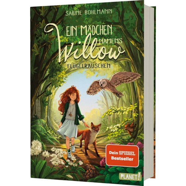 Ein Mädchen namens Willow 3: Flügelrauschen / Sabine Bohlmann