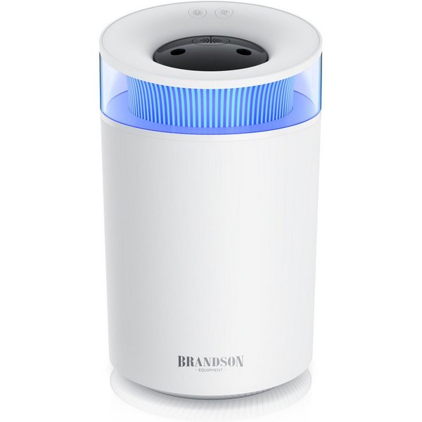 Brandson Luftbefeuchter Aroma Diffuser 2,5 L, Stimmungslicht, 2 schaltbare Dampfausgänge, 2,5 l Wassertank, mit Aromaöl-Fläschchen 10 ml, für Wohn- und Schlafzi