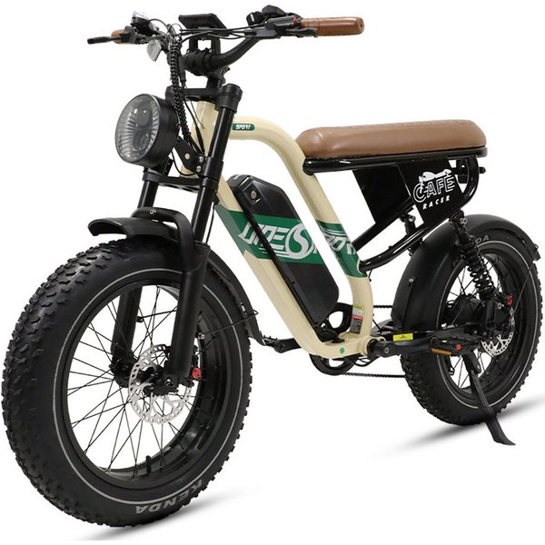 Vankel E-Bike Cityrad Herren Elektrofahrrad 648WH Cityrad 20×4.0 Zoll Damen 13.5AH 65Nm, Kettenschaltung, Heckmotor, 648 Wh, Retro E-Fatbike mit hydraulischen S