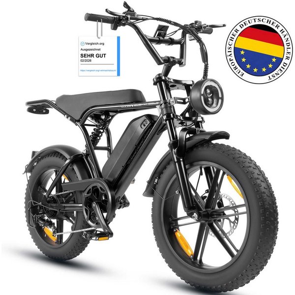Vankel E-Bike Cityrad E6-3.0 Elektrofahrrad 20” x 4 Damen u. Herren Pedelec 720Wh Max.108KM, Heckmotor, 720 Wh, Pedelec, Elektrofahrrad E-Mountainbike für Erwac