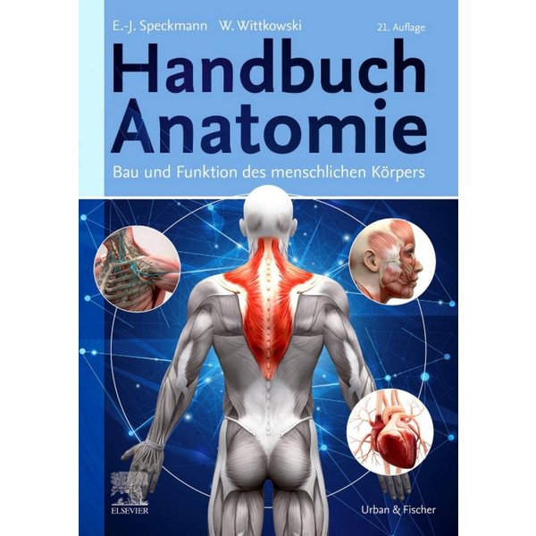 Handbuch Anatomie / diverse