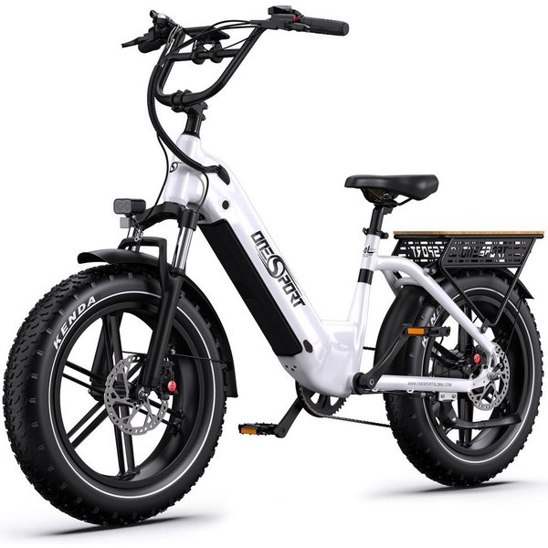 Onesport E-Bike Cityrad herren Elektrofahrrad 20× 4.0 Zoll 18AH 48V 864WH damen E-MBT, 7 Gang Shimano, Kettenschaltung (Shimano 7-Gang), Heckmotor, 864 Wh, City