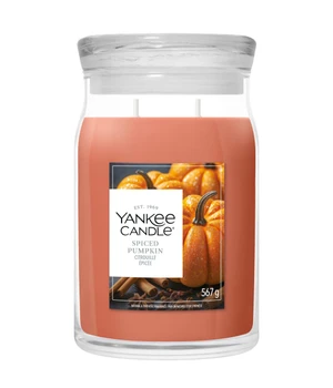 Yankee Candle Signature Grosses Glas Spiced Pumpkin Duftkerze · 567 g