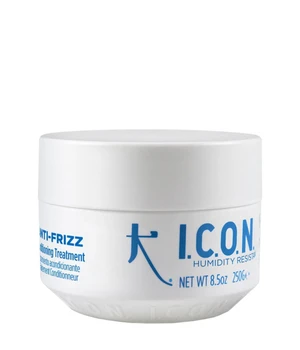 ICON Anti-Frizz Conditioner · 250 g
