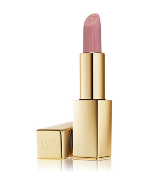 ESTÉE LAUDER Pure Color Matte Lipstick Lippenstift · 3.5 g · Grau