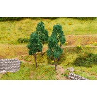 4 Buchen – Ansicht 1