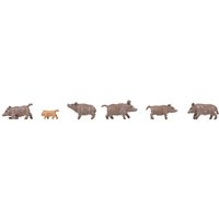 Wildschweine – Ansicht 1