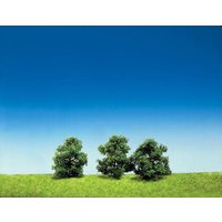 3 Büsche Top Serie