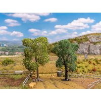 2 Birnenbaume – Ansicht 1
