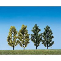 2 Birken + 2 Pappeln – Ansicht 1