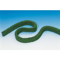 2 Hecken – Ansicht 1