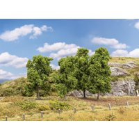 4 Laubbäume – Ansicht 1