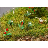 18 Lilien – Ansicht 1