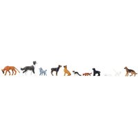 Hunde und Katzen – Ansicht 1