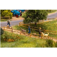 Spaziergänger mit Hunden