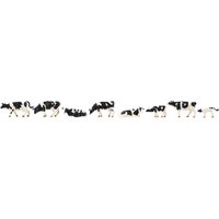 Kühe, schwarzbunt – Ansicht 1