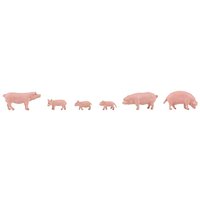 Schweine – Ansicht 1
