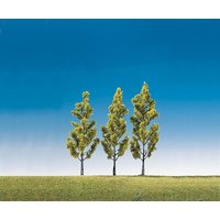 3 Birken – Ansicht 1