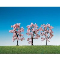 3 Zierkirschen