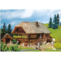 Schwarzwälder Bauernhaus – Ansicht 1