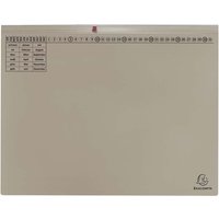 25 Exacompta Hängehefter "Exaflex Premium", mit 2 Abheftvor. für Linksheftung, grau