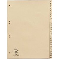 Register aus Tauenpapier 1-31, DIN A4