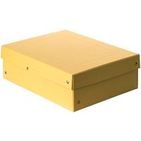 Falken Aufbewahrungsbox "PURE Box" Pastell, DIN A4, 100 mm Höhe, gelb