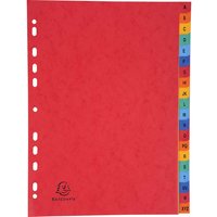 5 Exacompta Register, Colorspan-Karton, 20 Taben A-Z, 225 g/m², DIN A4, sortiert – Ansicht 1