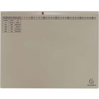 25 Exacompta Hängehefter "Exaflex Premium", mit 2 Abheftvor. für Rechtsheftung, grau